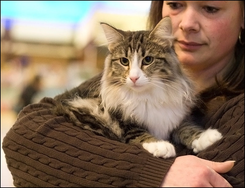 Carla Bruni du Domaine d'Asgard 2.jpg - Carla Bruni du Domaine d'Asgard